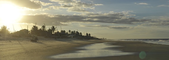 PRAINHA DO CANTO VERDE