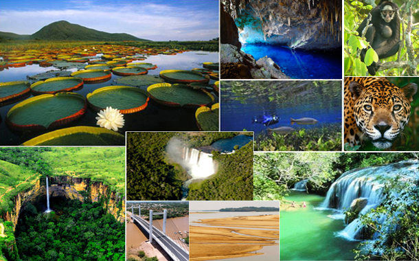 Mato Grosso