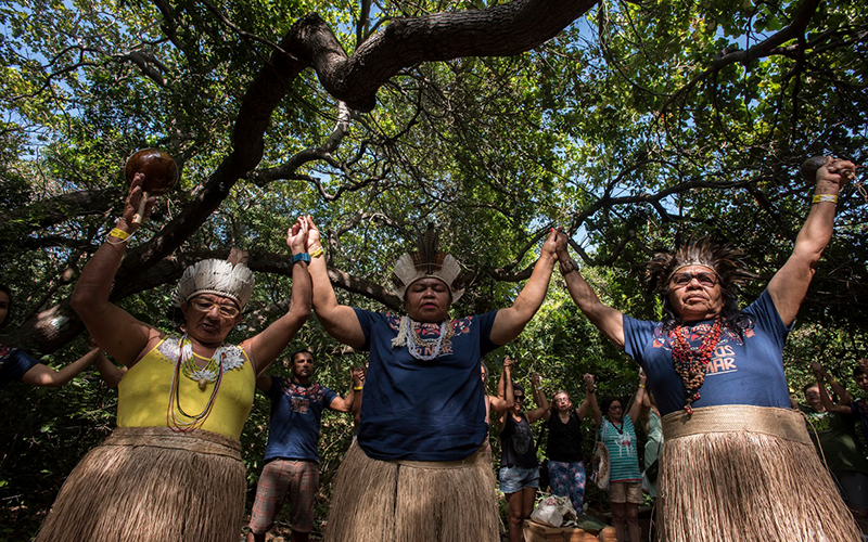 Iniciativa pioneira no Brasil reúne saberes, sabores e tradições das comunidades litorâneas do Ceará