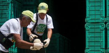Mesa Brasil arrecada mais de 600 toneladas de alimentos em três meses