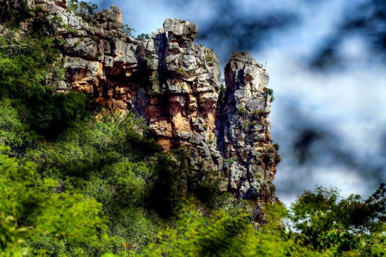 Seminário promove Chapada do Araripe como    Patrimônio da Humanidade