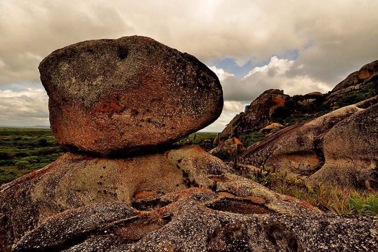Sesc realiza exposição da Chapada do Araripe em Brasília