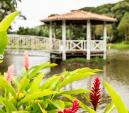 ROTA ENCANTOS DO MACIÇO – BATURITÉ, GUARAMIRANGA E PACOTI (CE)